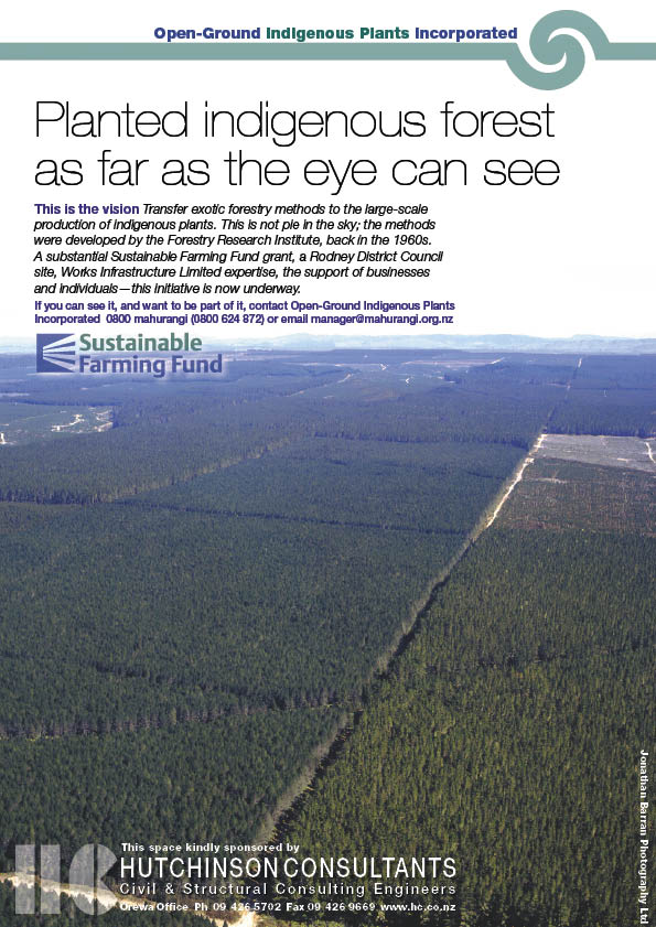 Display advertisement: Extensive exotic forest