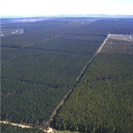 View from lookout