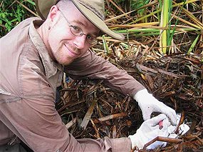 Go to the ABC: Corey Bradshaw, Conservation Ecologist Professor Corey Bradshaw