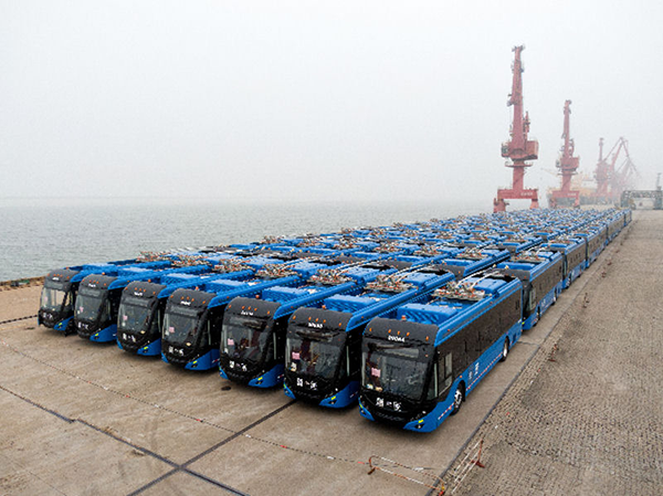 About half the Mexico City order of 130 Yutong ZK5120C buses, parked on wharf