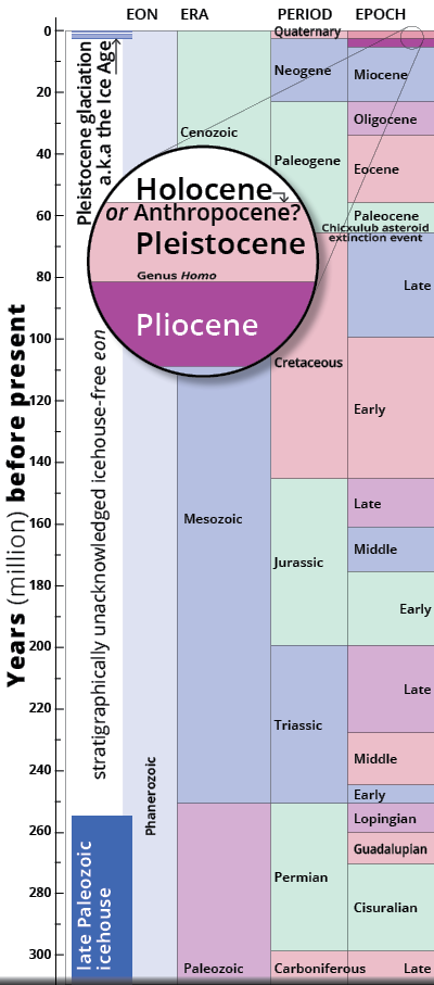 Late Paleozoic icehouse to Anthropocene epoch stratigraphical chart