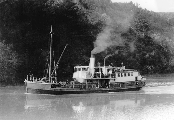 Steamboat Omana steaming up the Mahurangi River, Tudor Collins
