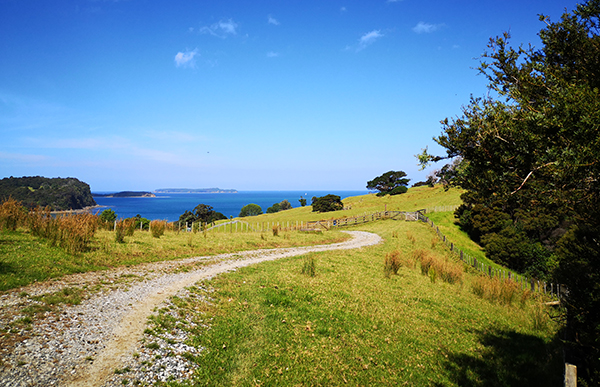 Te Muri Saddle looking northeast