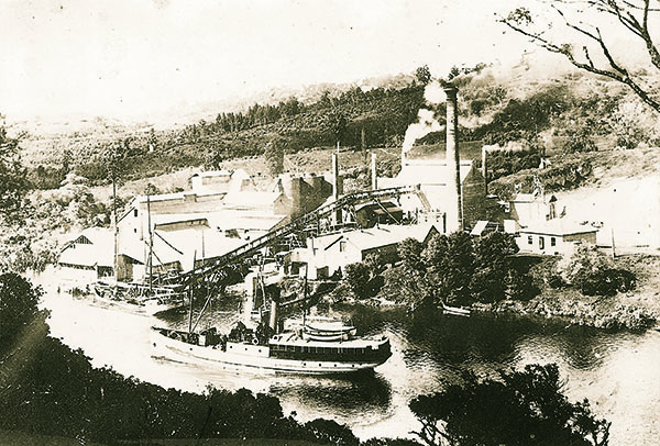 Kapanui steaming downriver past Wilson Cement Works