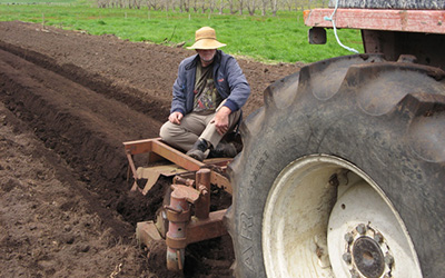 Open-ground indigenous plant project so far