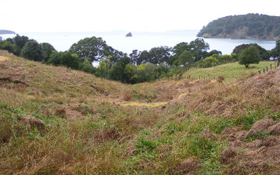 Planting badly eroded hillside behind Sullivans campground