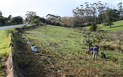 Open-ground indigenous plant trials another string