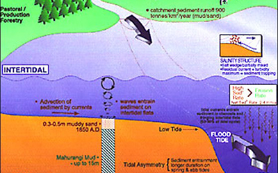 Sediment as a resource – another way to skin the cat