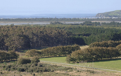 Walks in, around and beyond Warkworth worth walking