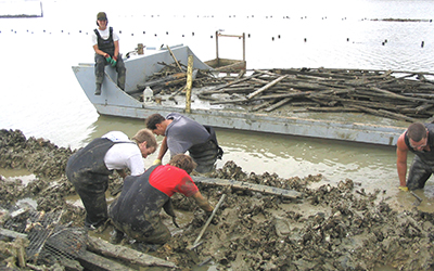 Marine farming the nasty way or the nice way