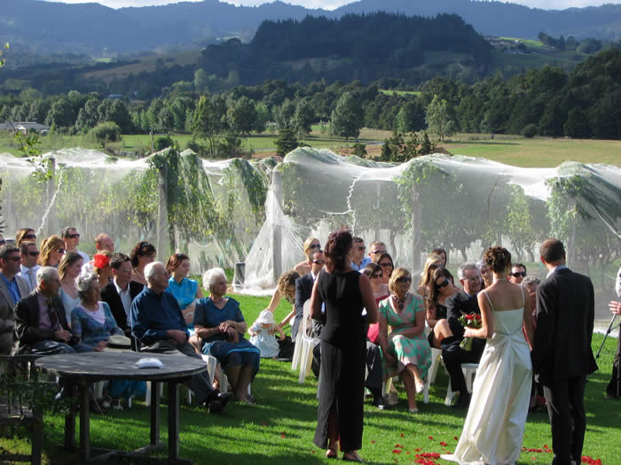 Wedding at Ransom Wines