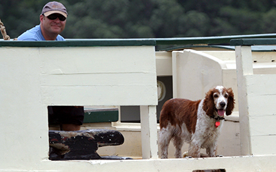 For canine crew members, regatta rules okay