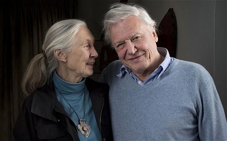 Dame Jane Goodall and Dr David Attenborough