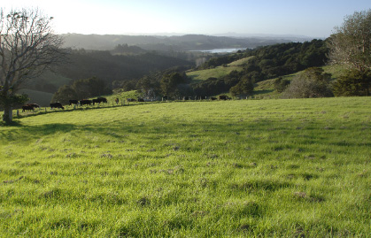 Mahurangi West Hall marquee site