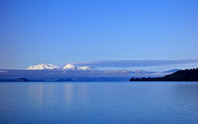 Tāne’s Tree Trust project saving Lake Taupō