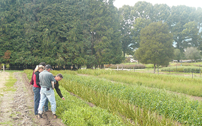 Seats set to fill fast for first of two open-ground field days