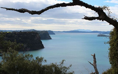 Mahurangi Coastal Trail high-tide Seaweek walk