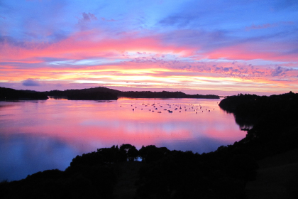Mahurangi landscape and the matrix
