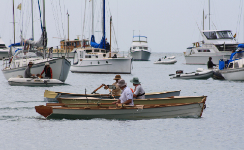 Master of the Mahurangi race