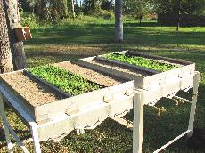 Biochar experiment