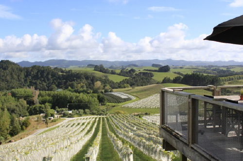 Mahurangi River Winery, cafe terrace