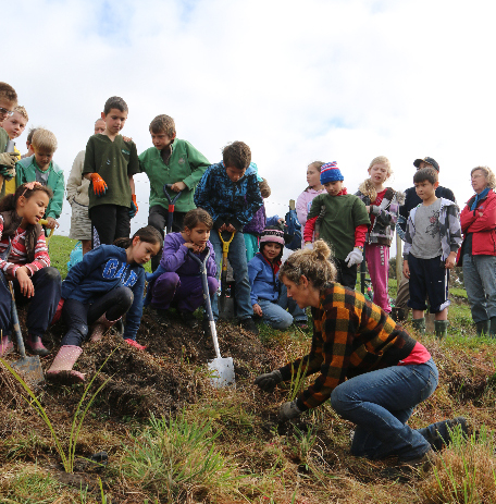 Mile-long Mahurangi Farm-Forestry Trail milestone