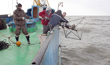 Measuring Arctic methane