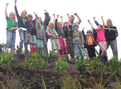 Cubs at Neil Lookout