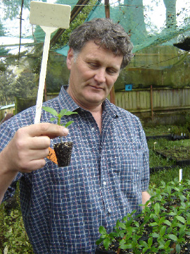 Philip Smith holding a Mahurangi karamu