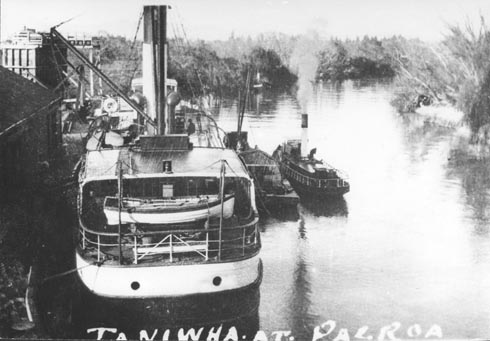 Steamboat Taniwha at Paeroa