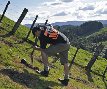 Michael Bergin, Taupo open-ground trial