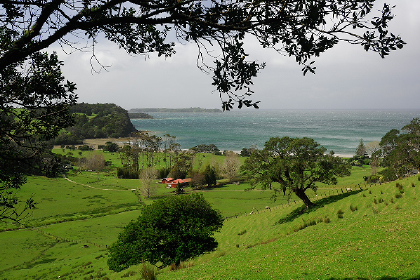 Te Muri Woolshed