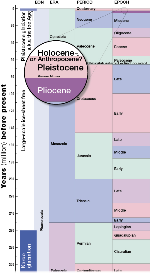 Time scale Karoo to Present