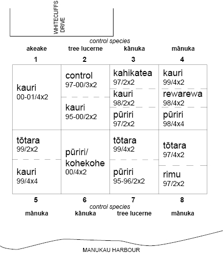 Whitecliffs Reserve nurse crop plan, 1992