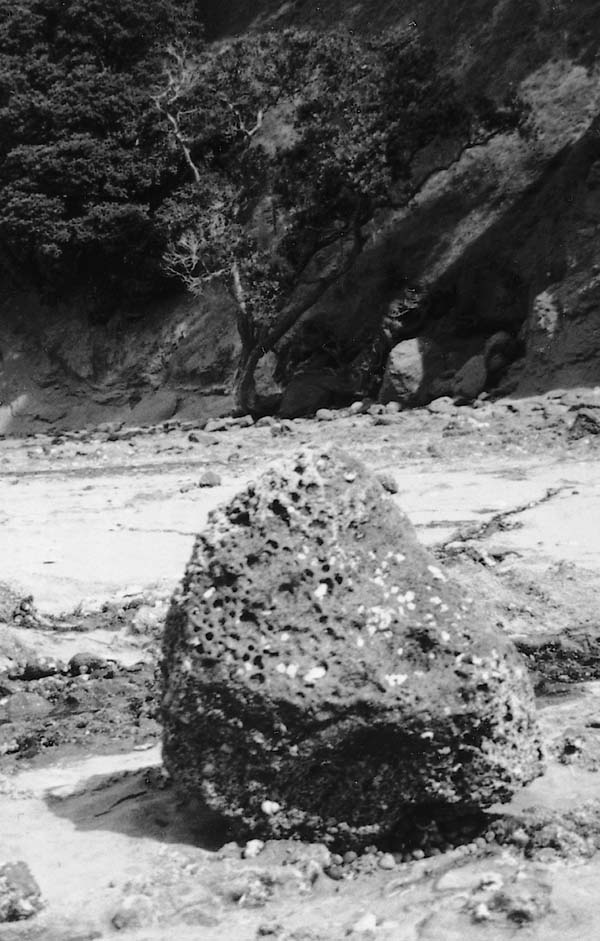 Basalt boulder, between Ōpahi and Mita bays
