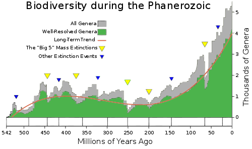 Biodiversity during the Phanerozoic