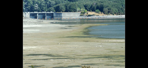 Low Te Anau lake level