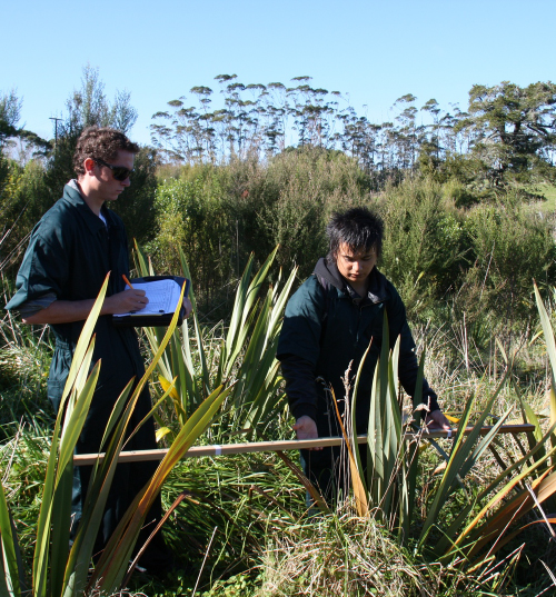 Sandspit Road remeasuring, 2012