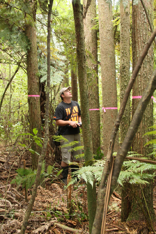 Sandspit Road remeasuring, 2012