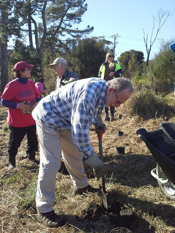Adrenalin Group Limited: Tu Ngutu Villa Planting