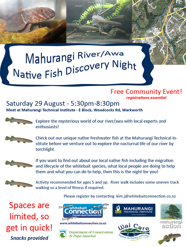 Mahurangi River Native Fish Discovery Night flyer