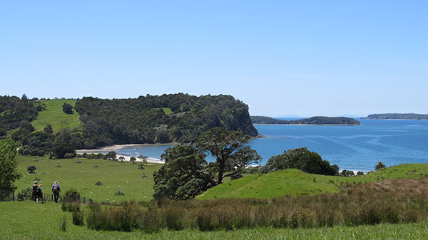 Walking down to Te Muri