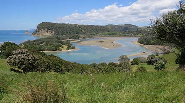 Wenderholm from Te Araroa