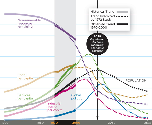 Looking Back on the Limits of Growth