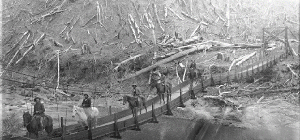 Horses crossing suspension bridge