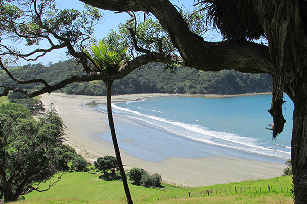 Te Muri, looking north from Te Muri Headland