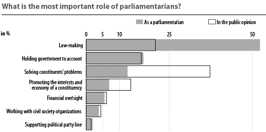Role of parliamentarians