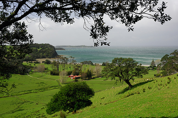 Te Muri, with woolshed centre