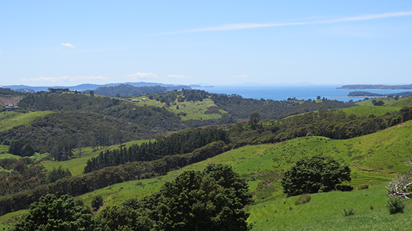 Te Muri, Dangerfields to Motuora vista