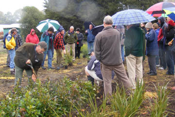 Philip Smith digging out karamu